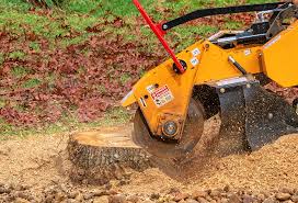 Best Tree Risk Assessment  in North Logan, UT